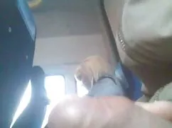 Trío peliculas pono  ...