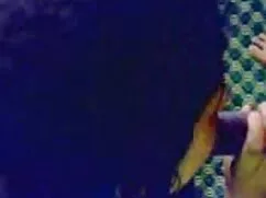 Hottie consigue anal ...