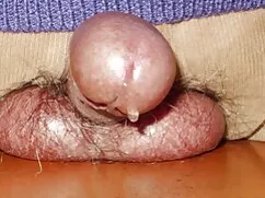 Viejo veteranas pelu ...